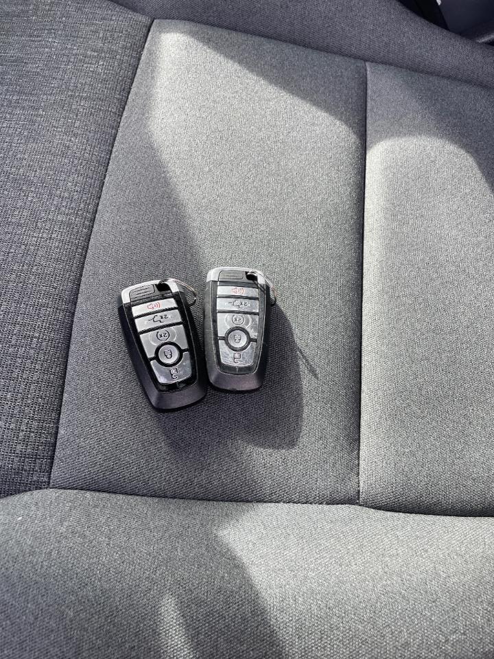 Ford F-150 XLT 4WD SuperCrew 6.5' Box 2024