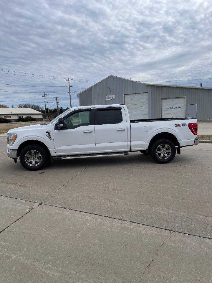 Ford F-150 XLT 4WD SuperCrew 6.5' Box 2022