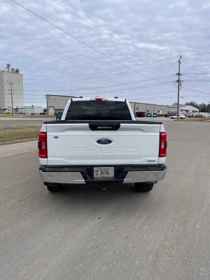 Ford F-150 XLT 4WD SuperCrew 6.5' Box 2022