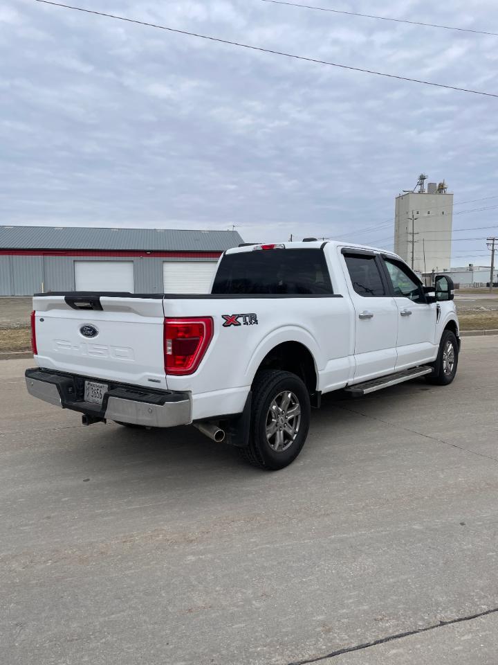Ford F-150 XLT 4WD SuperCrew 6.5' Box 2022