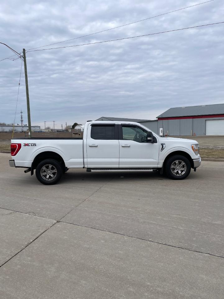 Ford F-150 XLT 4WD SuperCrew 6.5' Box 2022