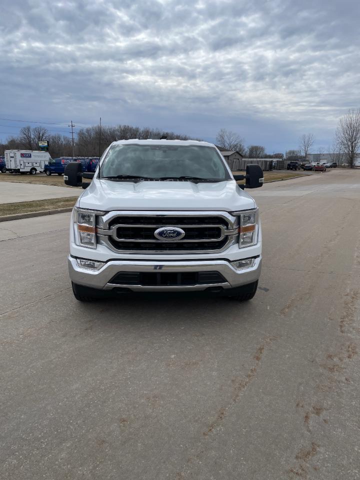 Ford F-150 XLT 4WD SuperCrew 6.5' Box 2022