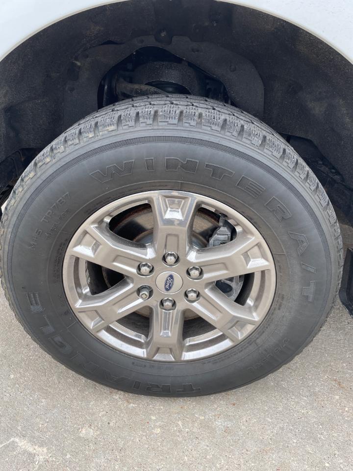 Ford F-150 XLT 4WD SuperCrew 6.5' Box 2022