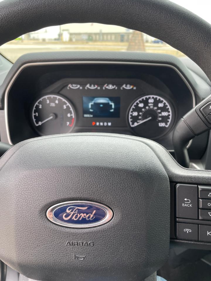 Ford F-150 XLT 4WD SuperCrew 6.5' Box 2022