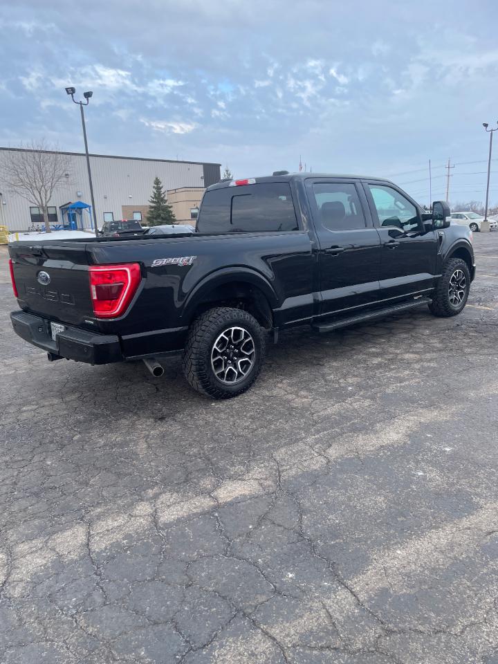 Ford F-150 XLT 4WD SuperCrew 6.5' Box 2021