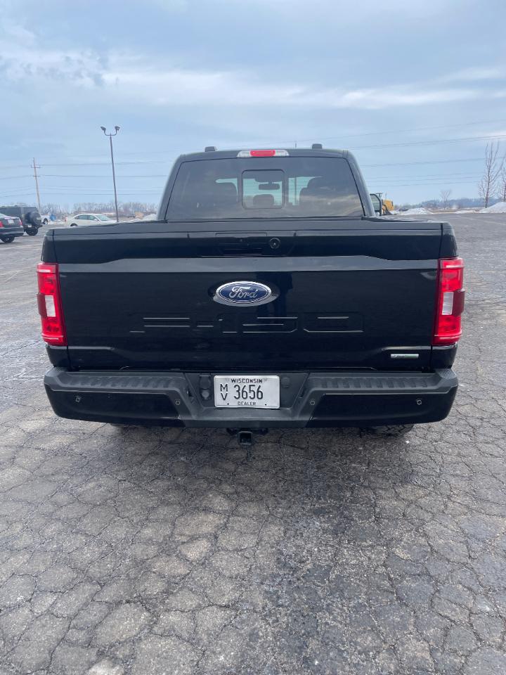 Ford F-150 XLT 4WD SuperCrew 6.5' Box 2021