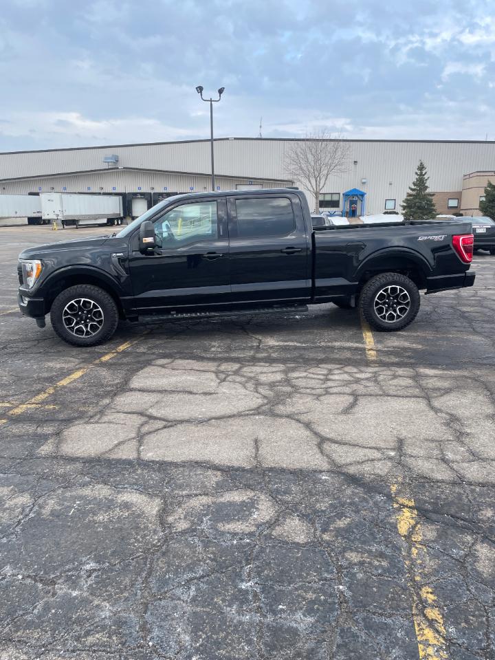Ford F-150 XLT 4WD SuperCrew 6.5' Box 2021