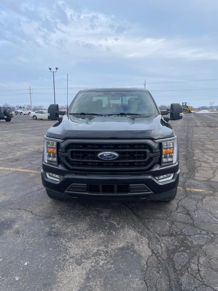 Ford F-150 XLT 4WD SuperCrew 6.5' Box 2021