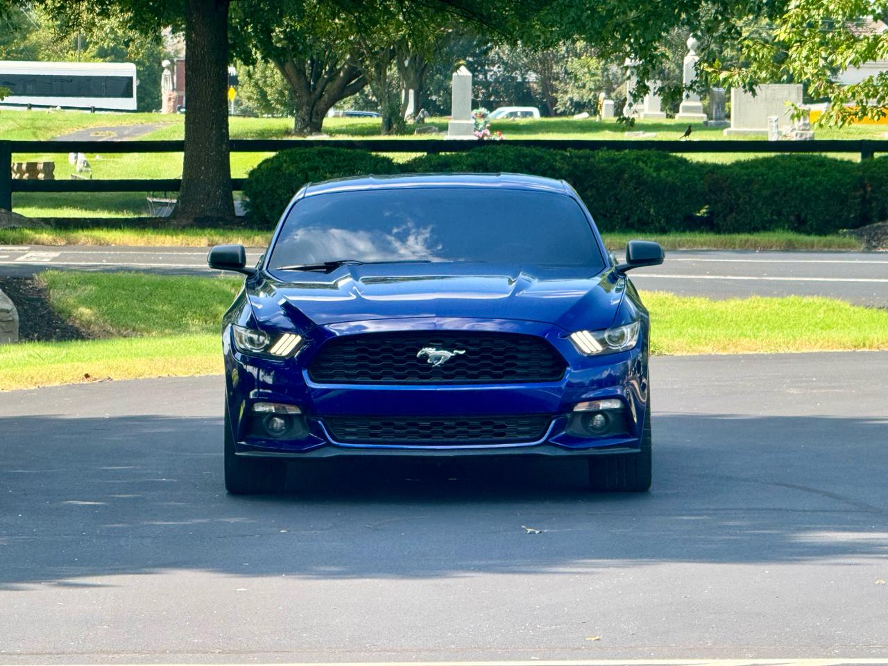 Ford Mustang 2dr Conv EcoBoost Premium 2016