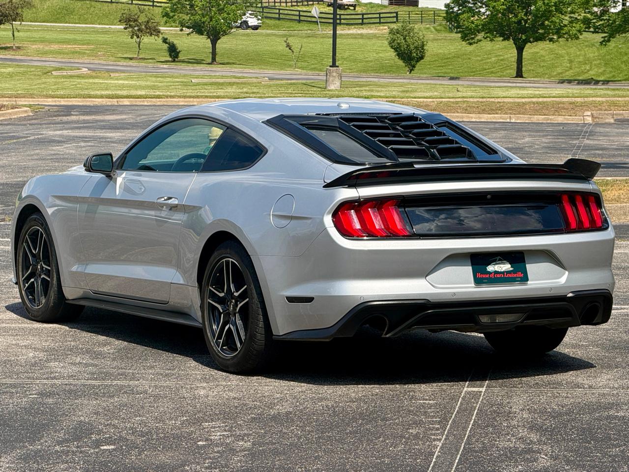 Ford Mustang EcoBoost Fastback 2019