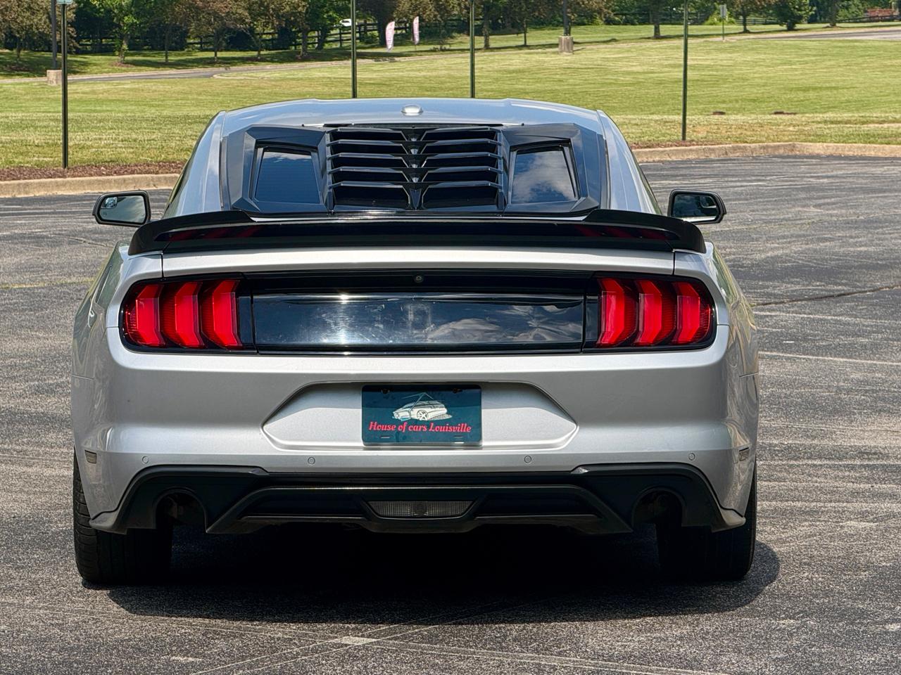 Ford Mustang EcoBoost Fastback 2019