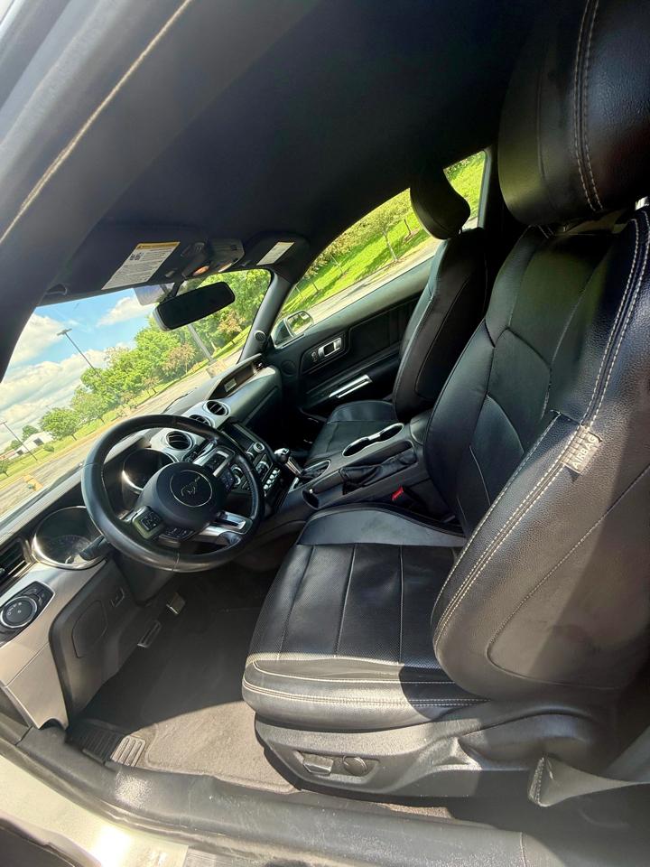 Ford Mustang EcoBoost Fastback 2019