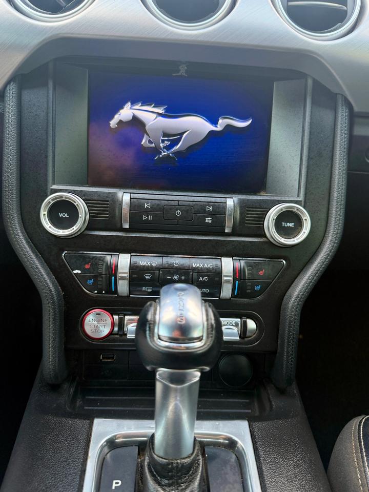 Ford Mustang EcoBoost Fastback 2019