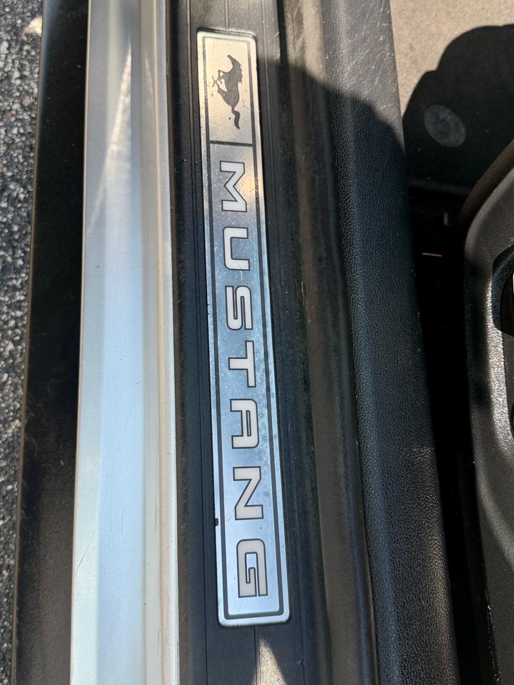 Ford Mustang EcoBoost Fastback 2019