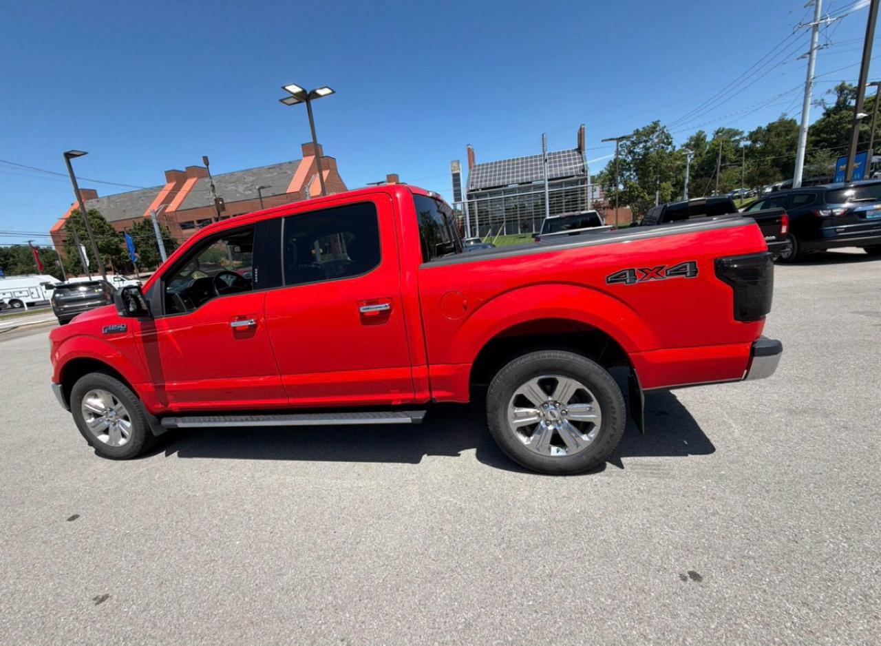 Ford F-150 XLT SuperCrew 5.5-ft. Bed 4WD 2018