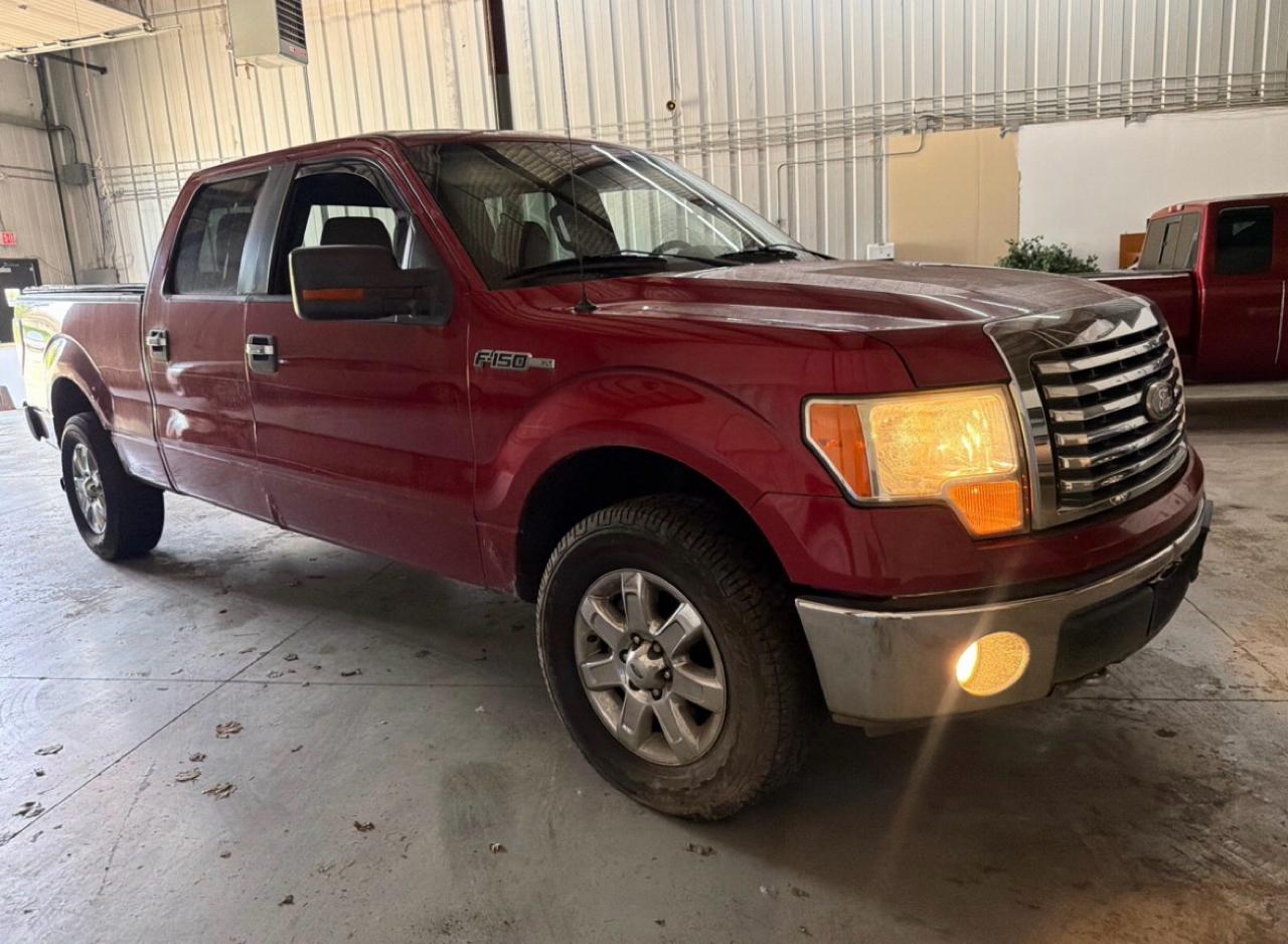 Ford F-150 XLT SuperCrew 5.5-ft. Bed 4WD 2010