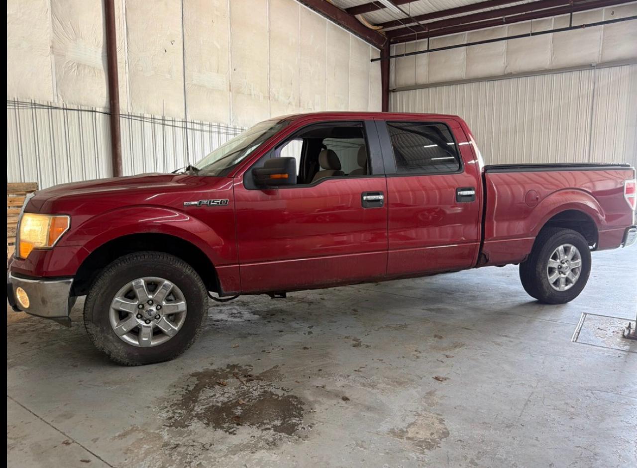 Ford F-150 XLT SuperCrew 5.5-ft. Bed 4WD 2010