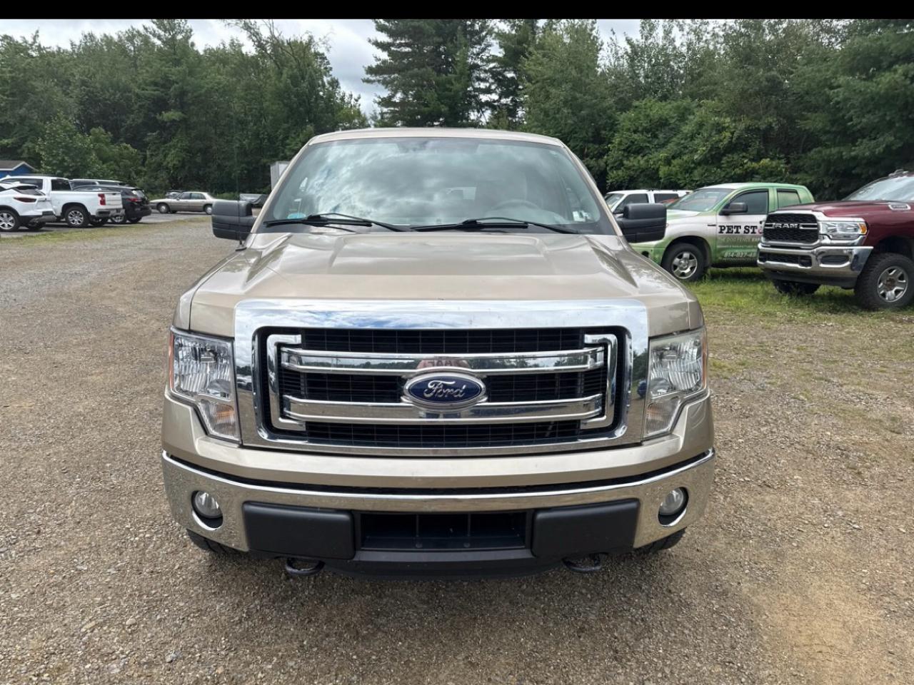 Ford F-150 4WD SuperCrew 139" XLT 2014