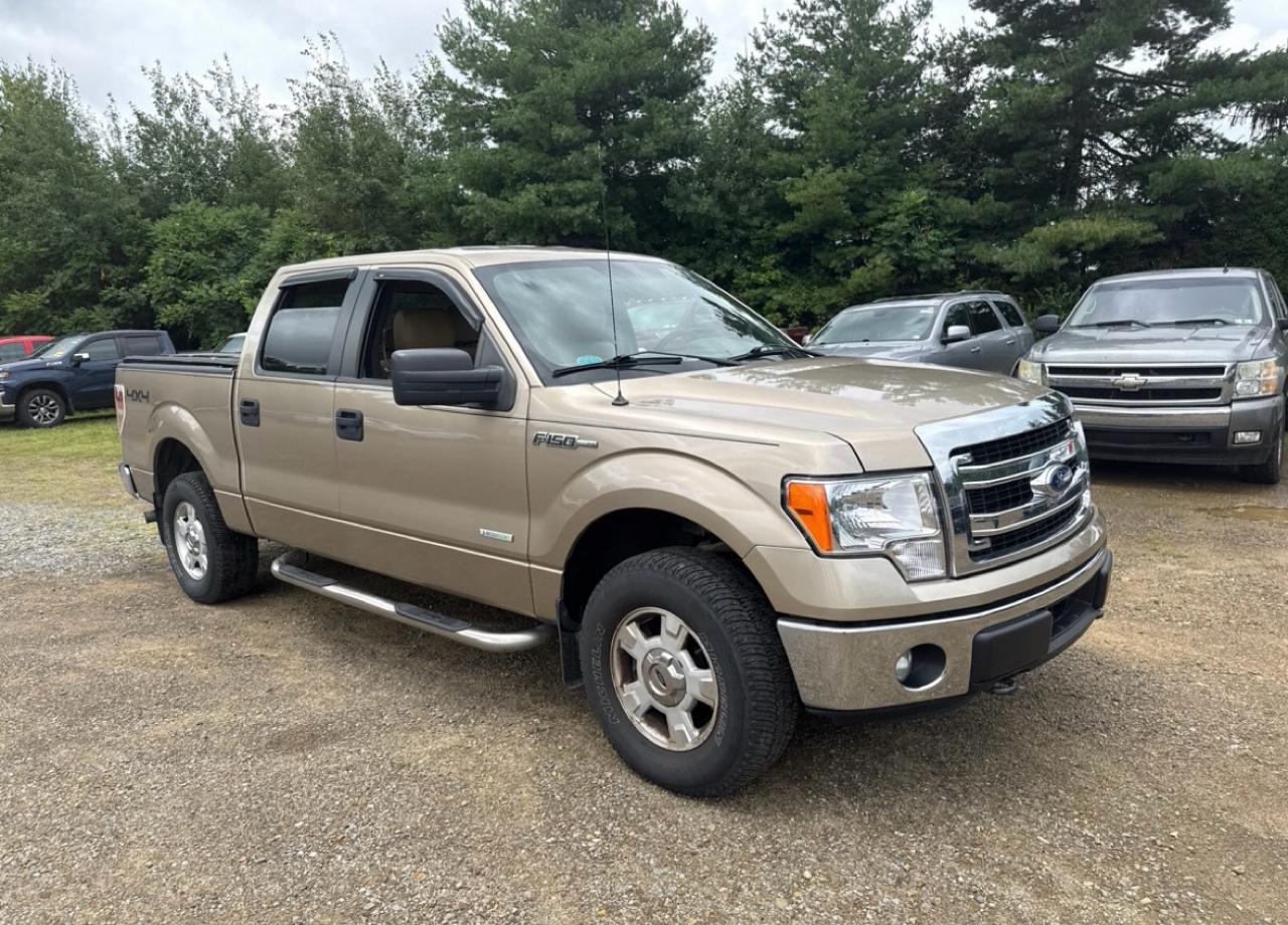Ford F-150 4WD SuperCrew 139" XLT 2014