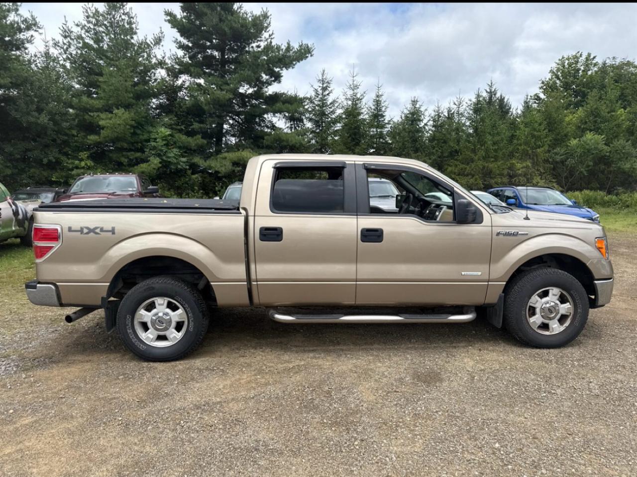 Ford F-150 4WD SuperCrew 139" XLT 2014