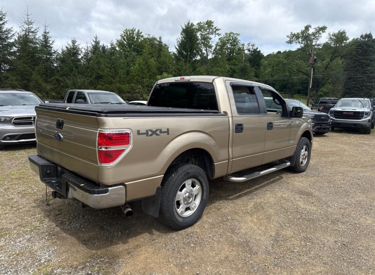 Ford F-150 4WD SuperCrew 139" XLT 2014