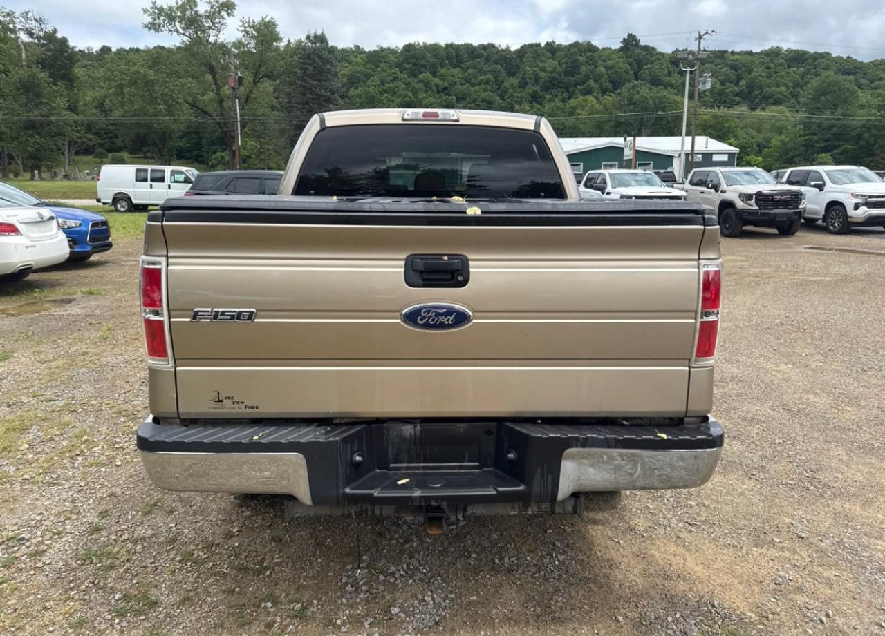 Ford F-150 4WD SuperCrew 139" XLT 2014