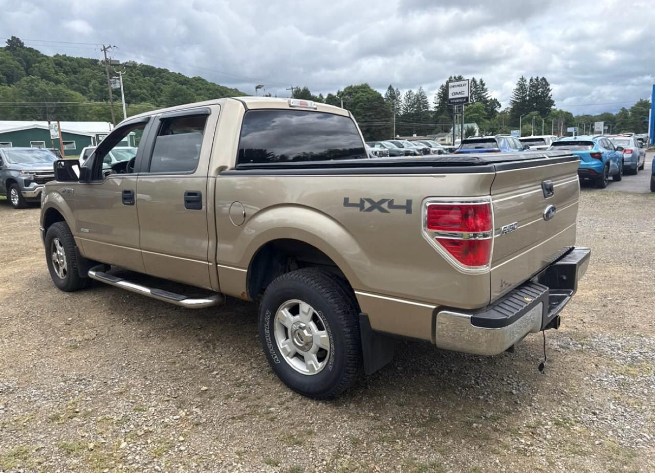 Ford F-150 4WD SuperCrew 139" XLT 2014