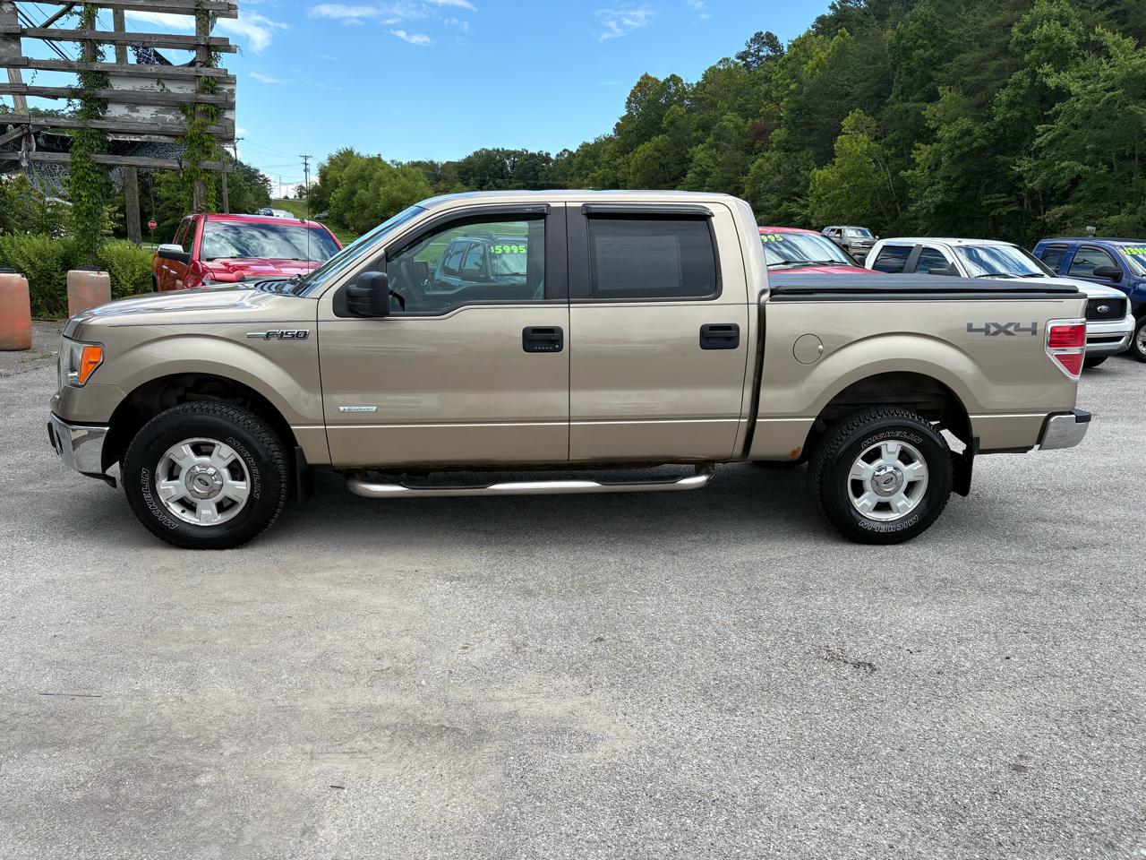 Ford F-150 4WD SuperCrew 139" XLT 2014