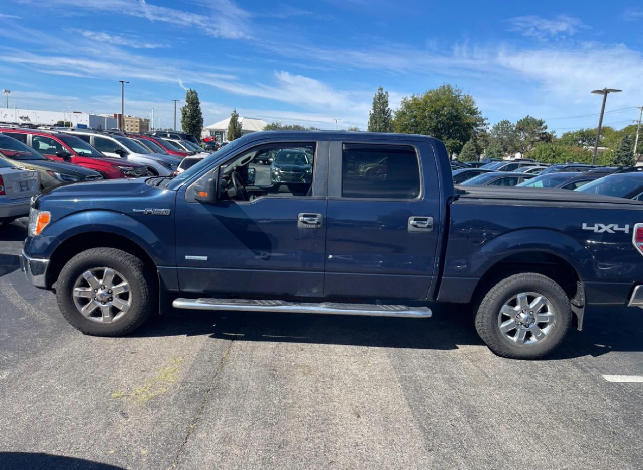 Ford F-150 4WD SuperCrew 145" XLT 2013