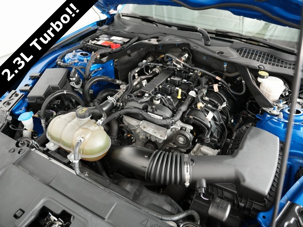 Ford Mustang EcoBoost Convertible 2021