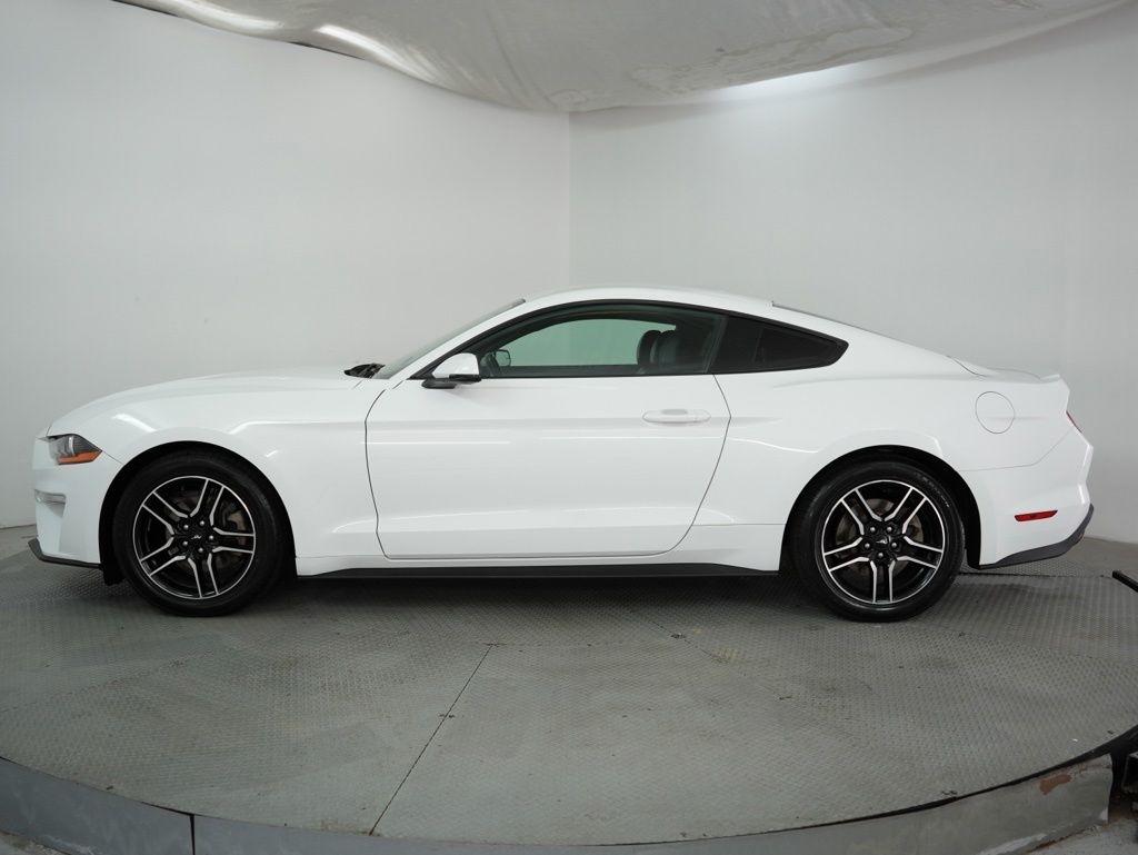 Ford Mustang EcoBoost Fastback 2019