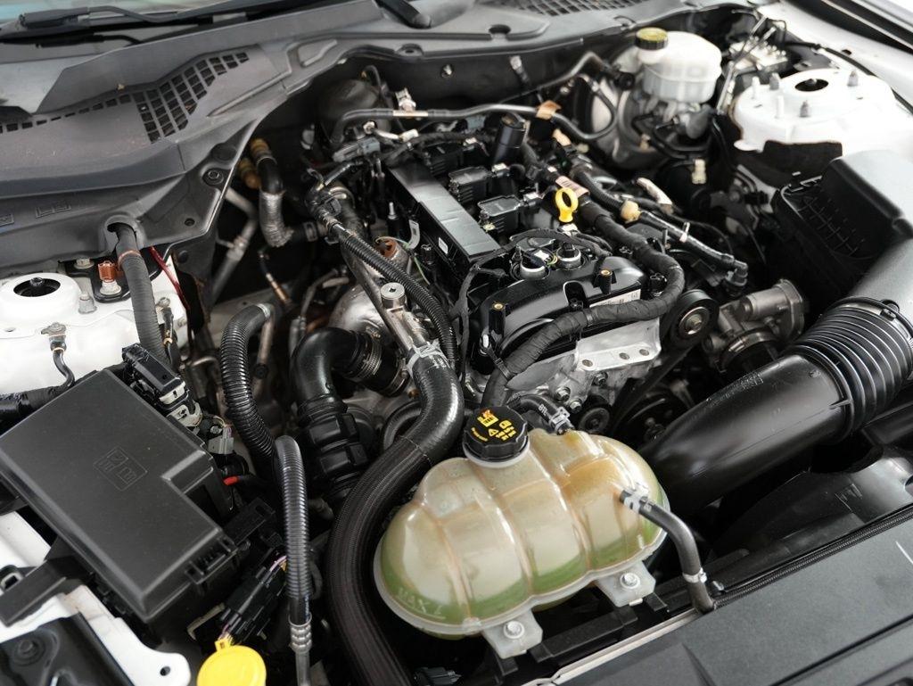 Ford Mustang EcoBoost Fastback 2019