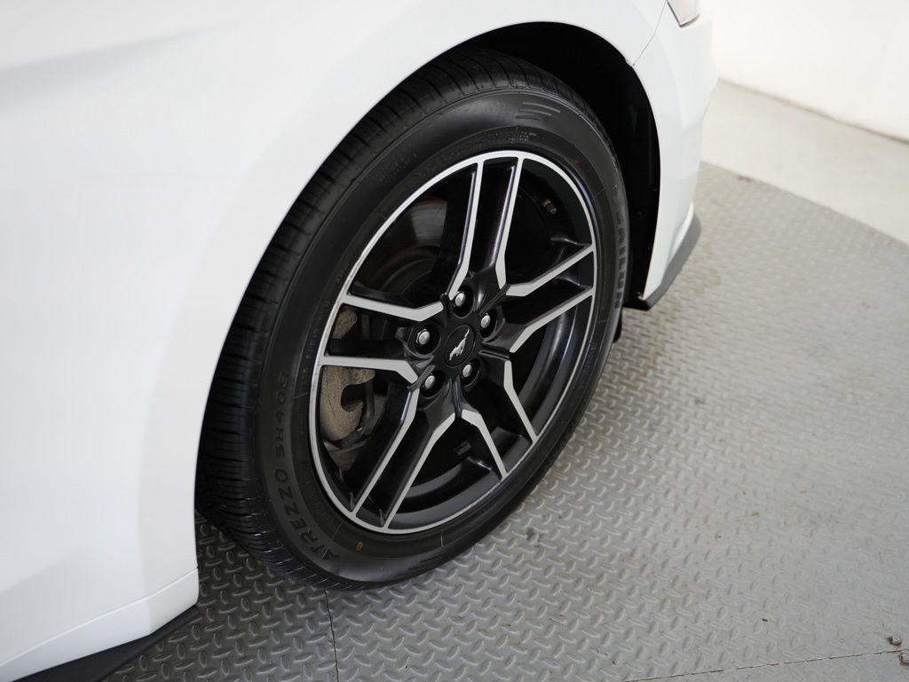 Ford Mustang EcoBoost Fastback 2019