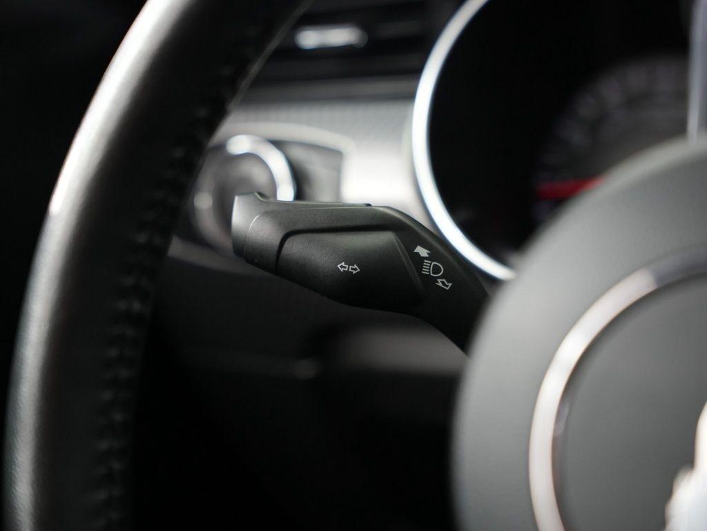 Ford Mustang EcoBoost Fastback 2019