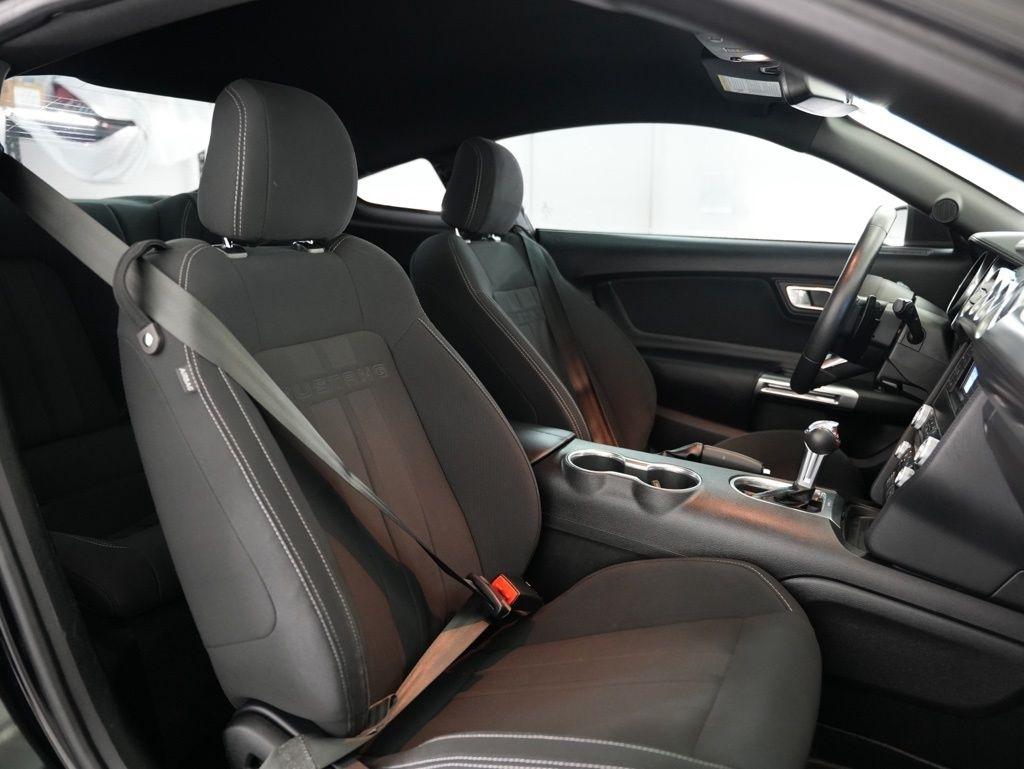 Ford Mustang EcoBoost Fastback 2019