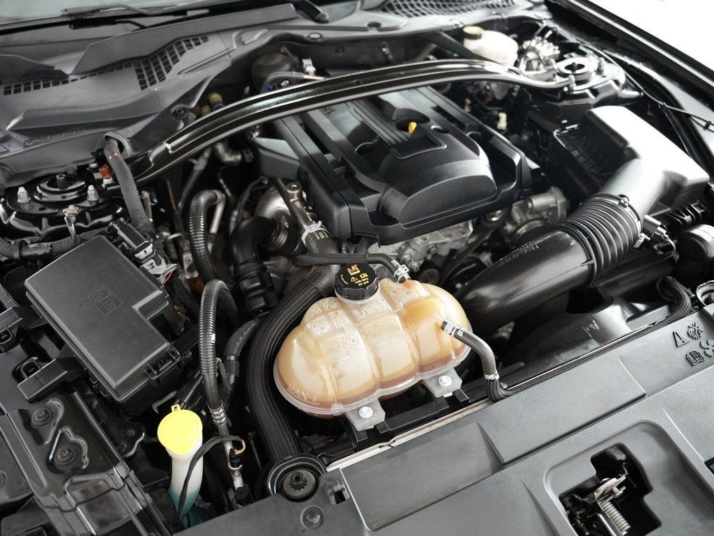 Ford Mustang EcoBoost Fastback 2019