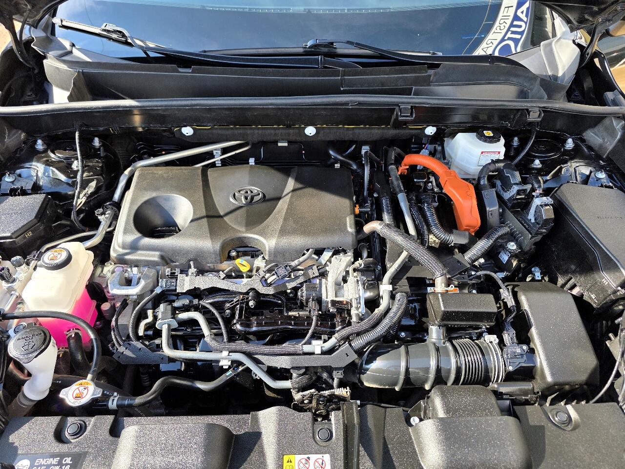 Toyota Venza Limited AWD (Natl) 2021