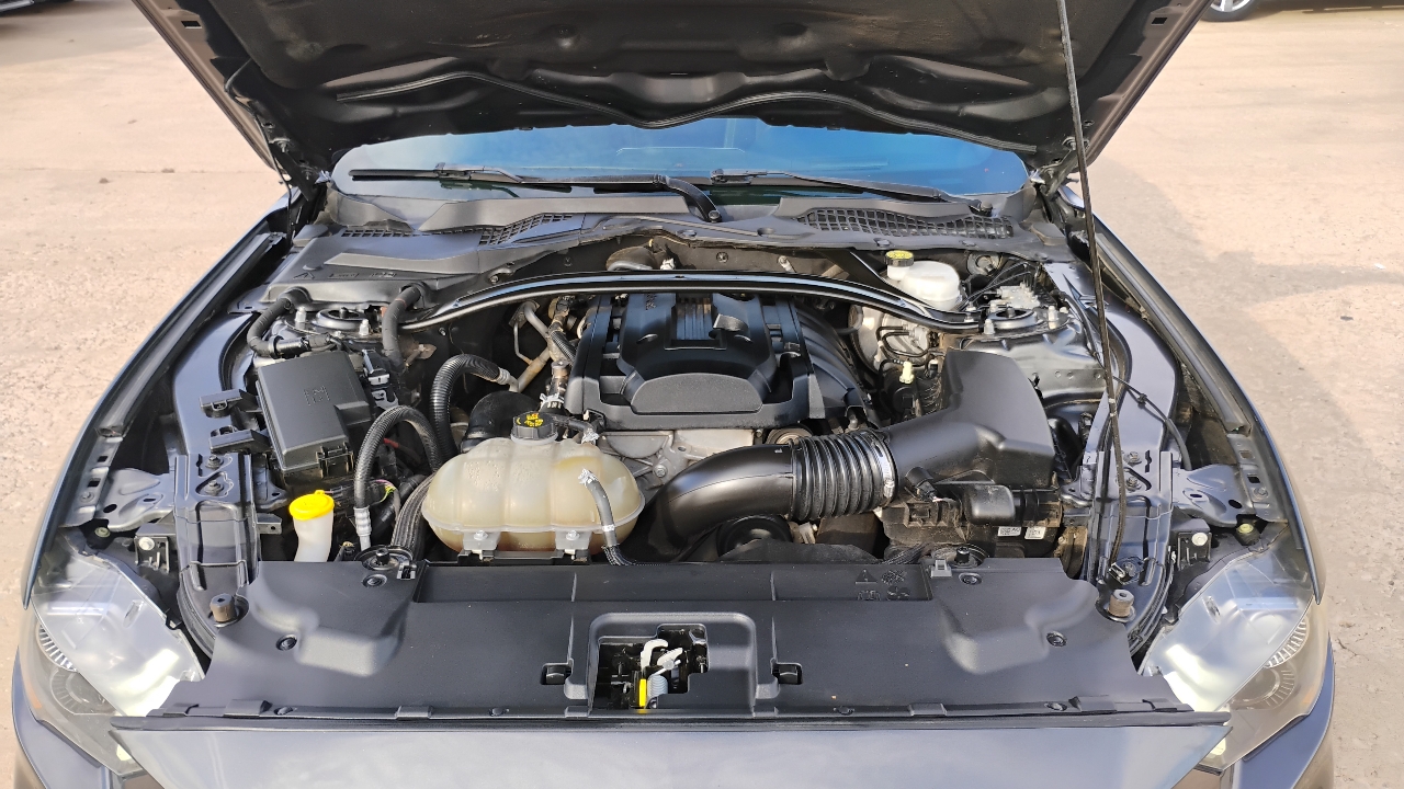 Ford Mustang EcoBoost Convertible 2019