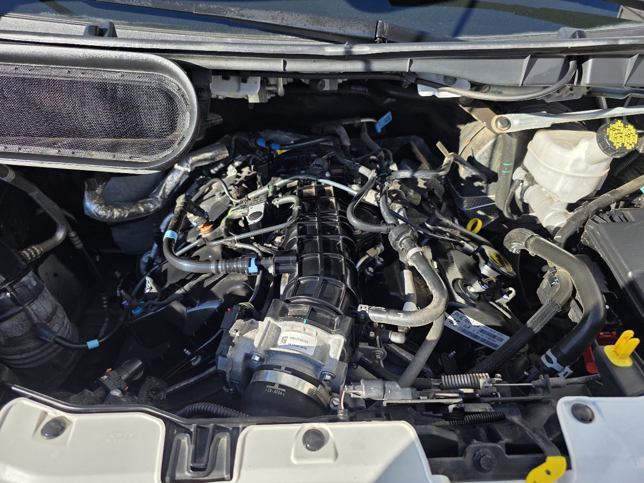 Ford Transit Passenger Wagon T-350 148" Low Roof XLT RWD 2023