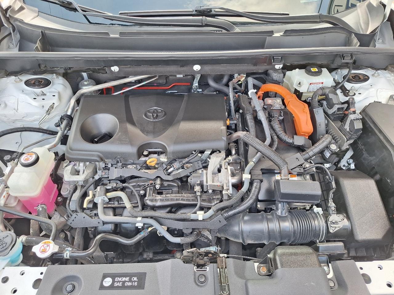Toyota RAV4 Hybrid LE AWD (Natl) 2021