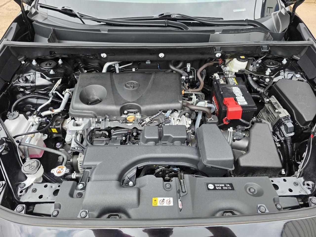 Toyota RAV4 LE AWD (Natl) 2025