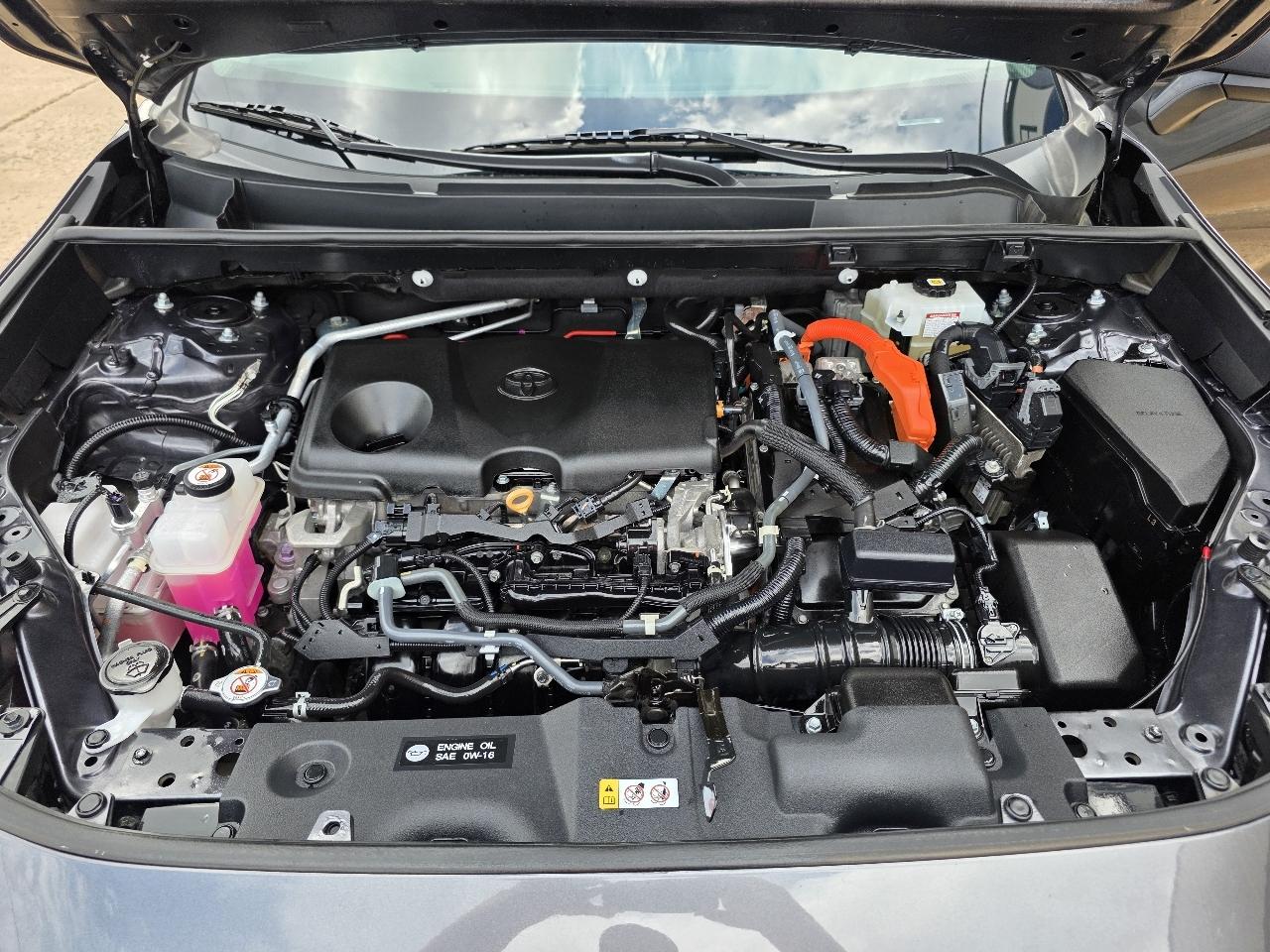 Toyota RAV4 Hybrid LE AWD (Natl) 2021