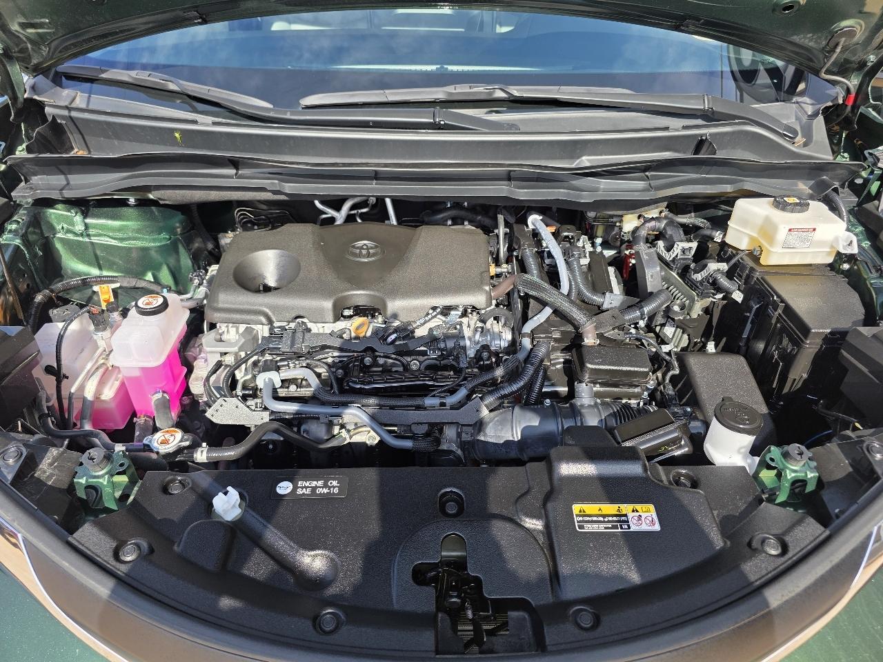 Toyota Sienna XLE FWD 8-Passenger (Natl) 2025