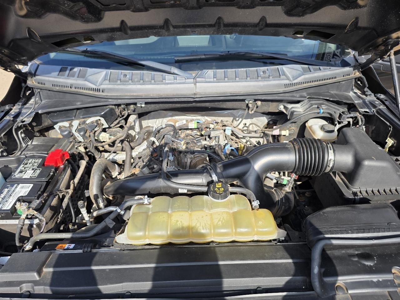Ford F-150 4WD SuperCab 145" STX 2019