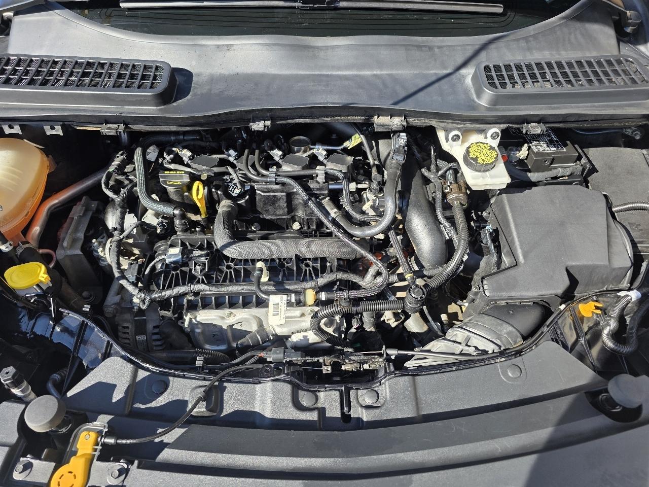 Ford Escape SE 4WD 2019