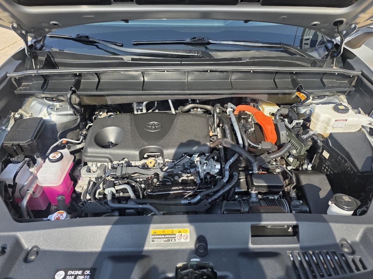 Toyota Highlander Hybrid XLE AWD (Natl) 2024
