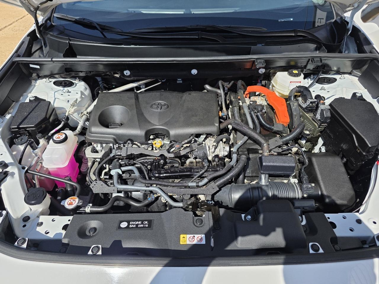 Toyota RAV4 Hybrid XLE AWD (Natl) 2025