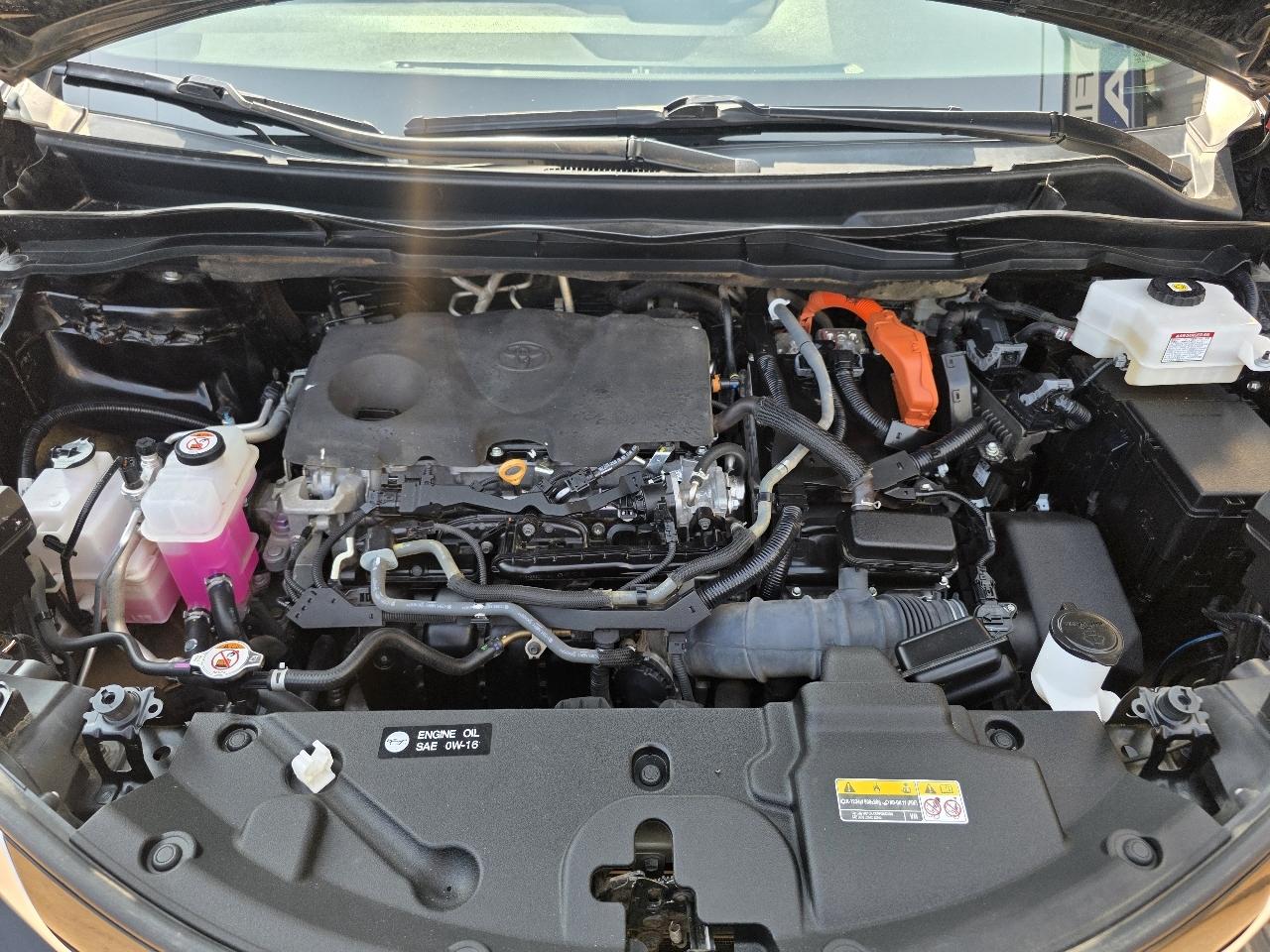 Toyota Sienna XSE AWD 7-Passenger (Natl) 2023