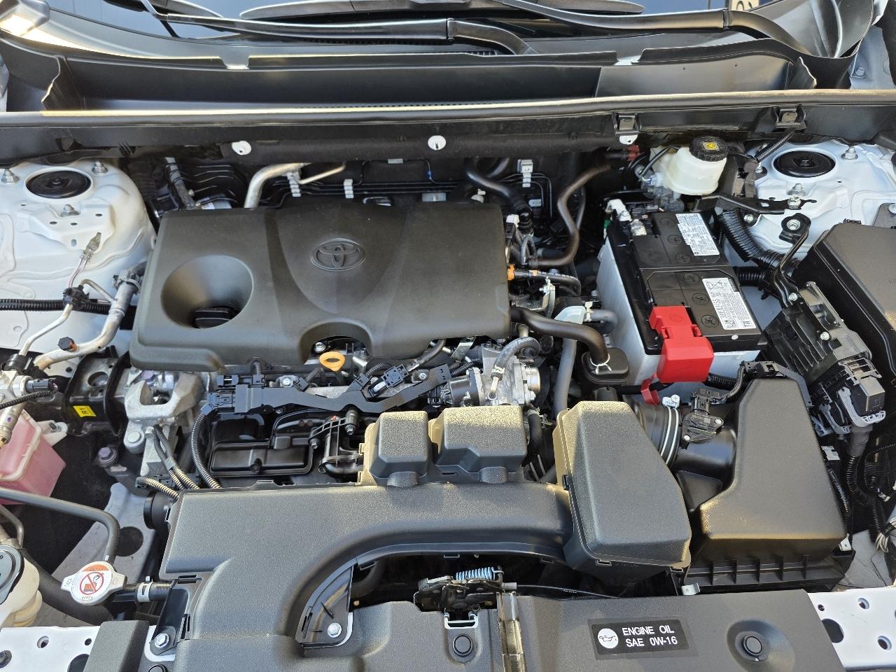 Toyota RAV4 LE AWD (Natl) 2025