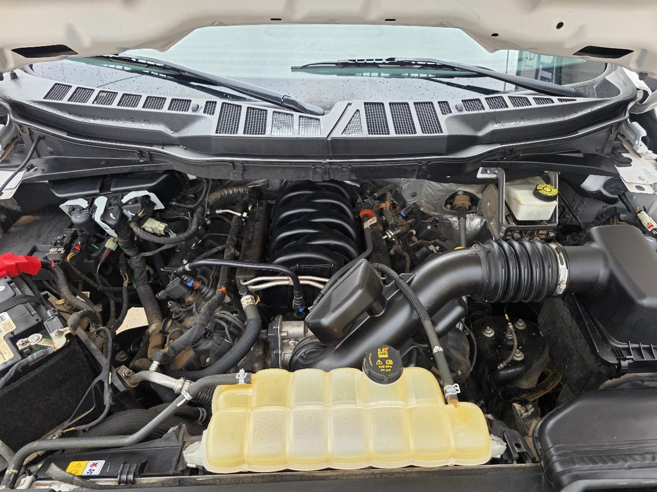 Ford F-150 XL 4WD SuperCrew 5.5' Box 2021
